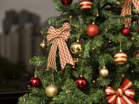 Natal<br>22 a 25/12 ou<br>23 a 26/12