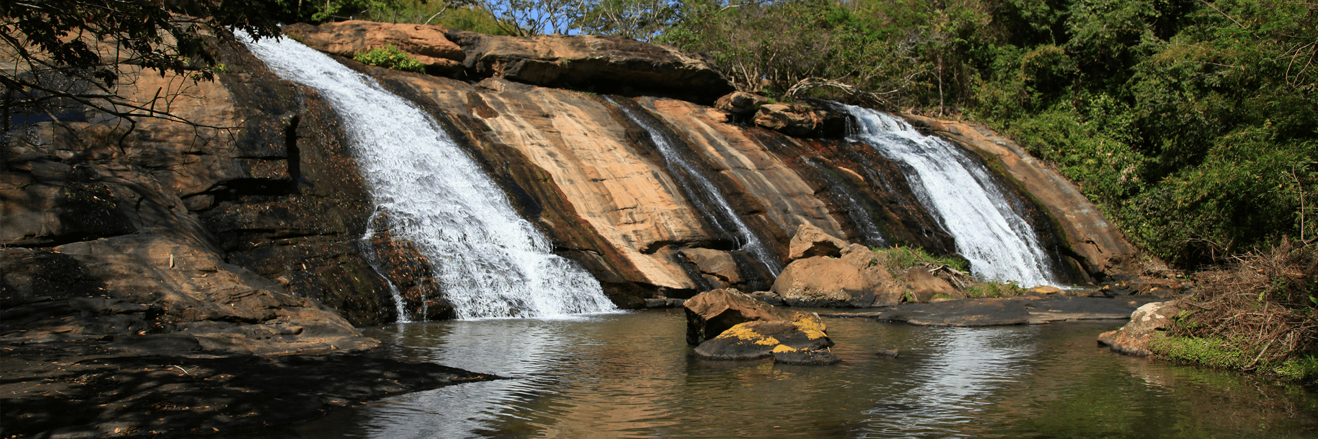 Sustentabilidade