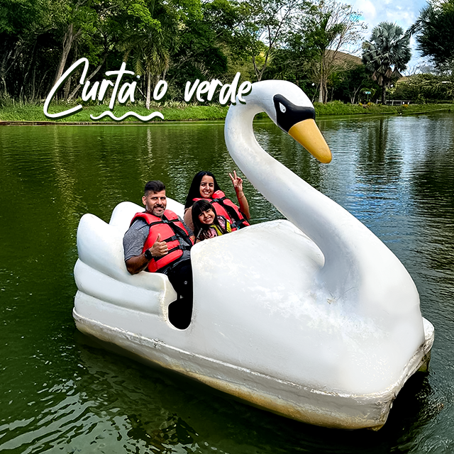 Curta o verde