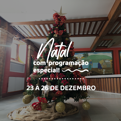 Viva a magia do Natal!
